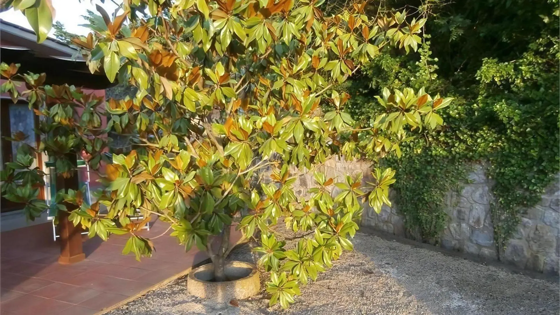 Apartment Ferienwohnung In Capoliveri Mit Schoenem Garten Italy