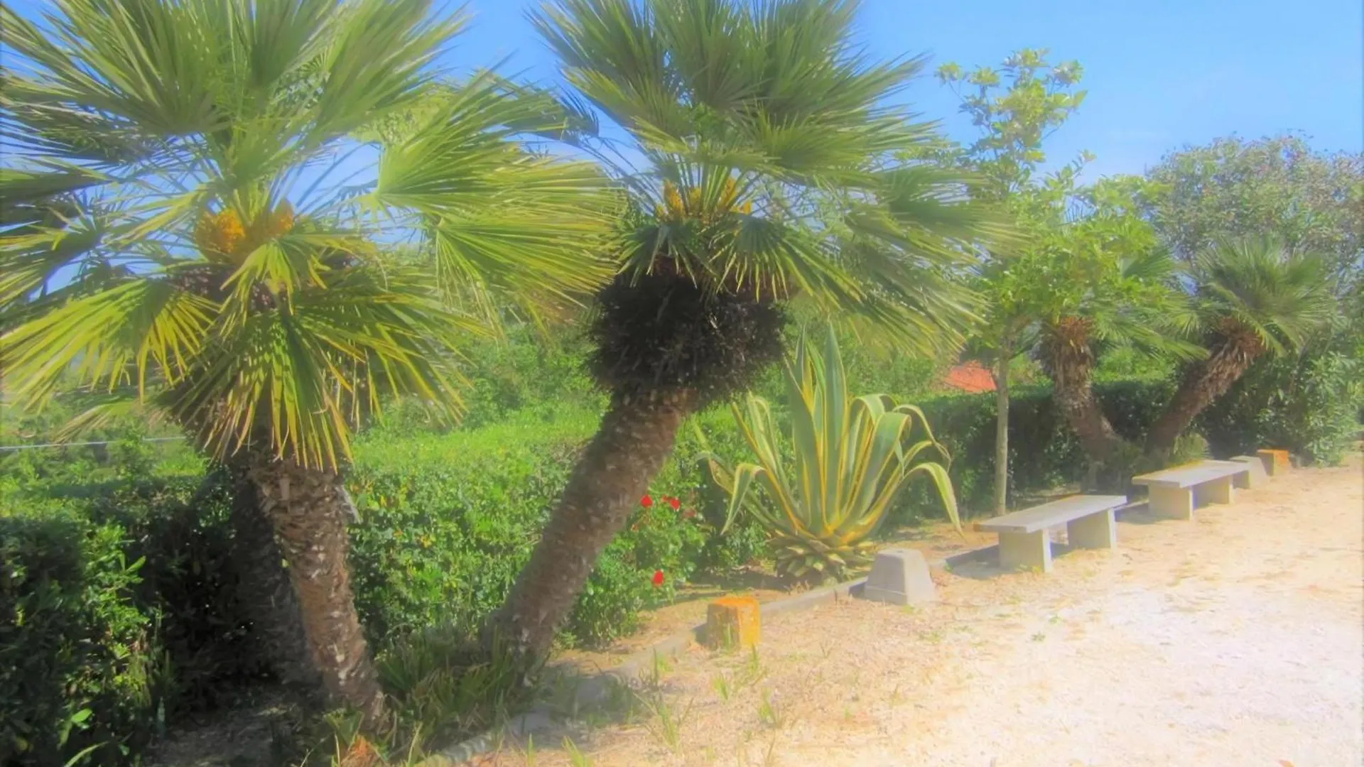 Ferienwohnung In Capoliveri Mit Schoenem Garten Italy