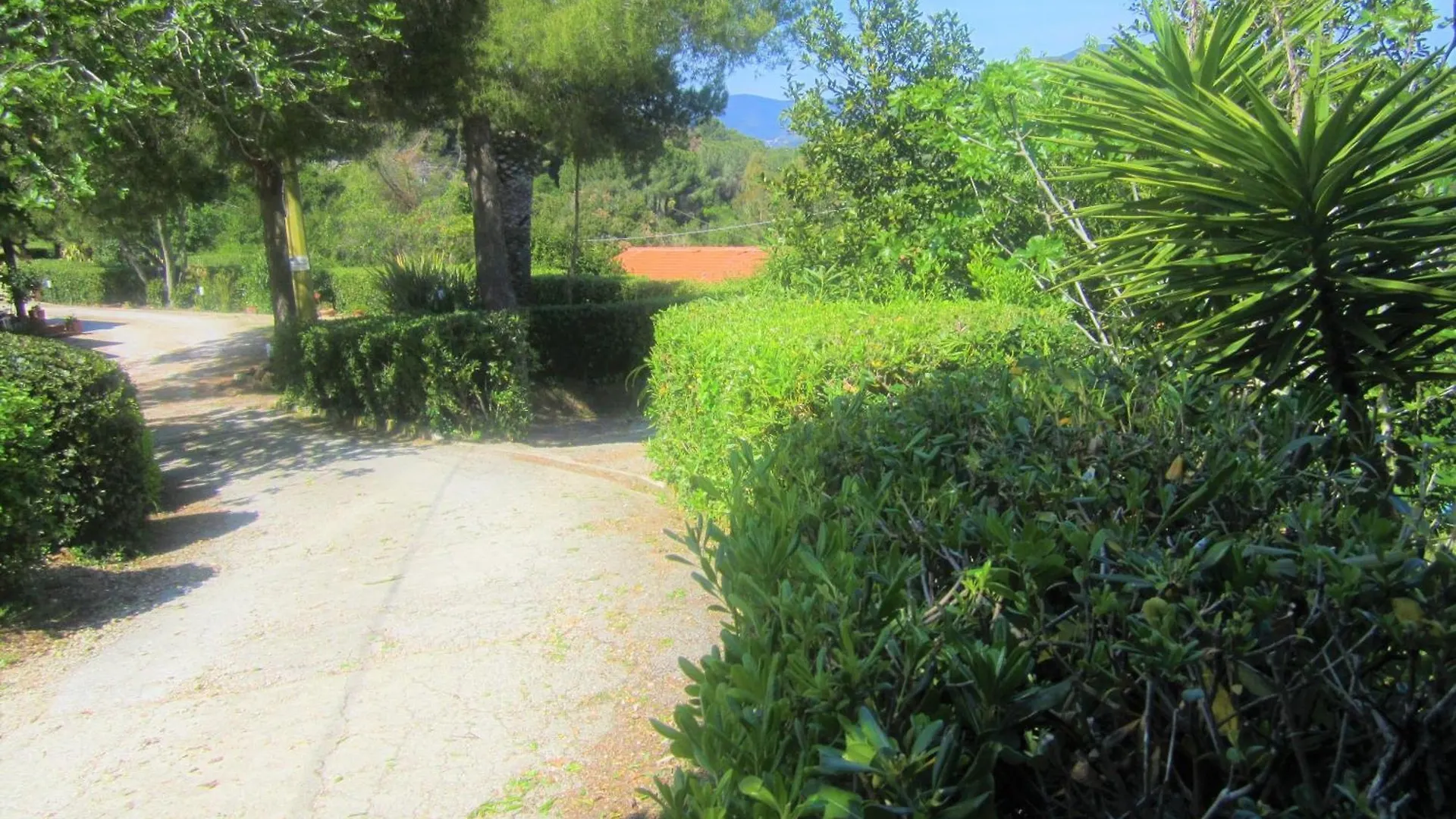 Ferienwohnung In Capoliveri Mit Schoenem Garten 0*, Capoliveri (Isola d'Elba)